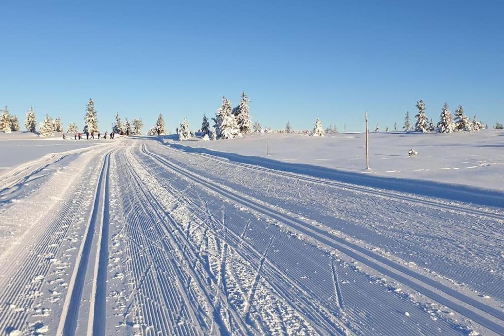 Leilighet Med Panoramautsikt Sjusjoen Innendors Parkering 외부 사진